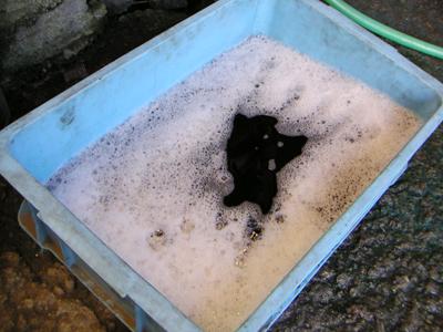 錆び取り溶液