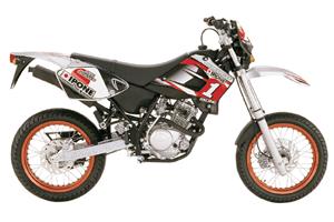 Sherco 125 Ipone replica