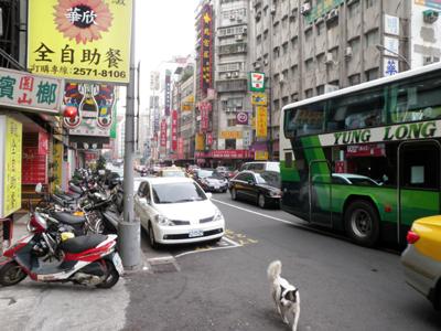 路上の犬