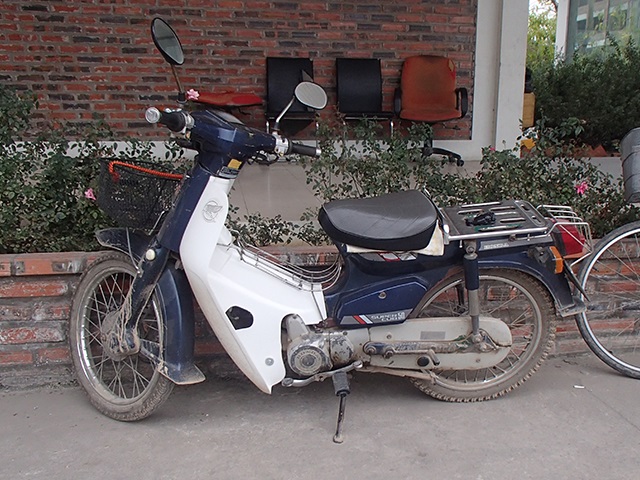 HONDA C50